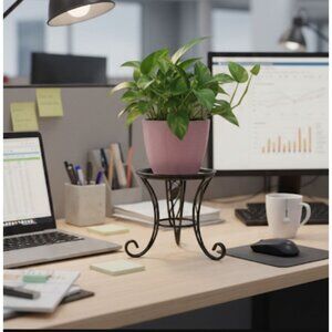 Small Tabletop Black Metal Plant Stand